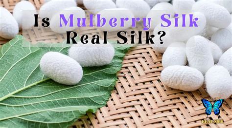 is mulberry silk real.